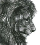 (image for) Lion Face